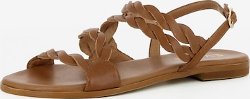 EVITA Strap Sandals 'OLIMPIA' in Brown: front