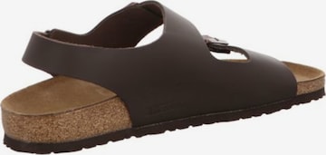 BIRKENSTOCK Sandale in Braun