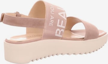 PETER KAISER Sandals in Pink