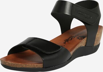 COSMOS COMFORT Sandals in Black: front