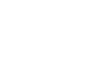 A STAR IS BORN Logo