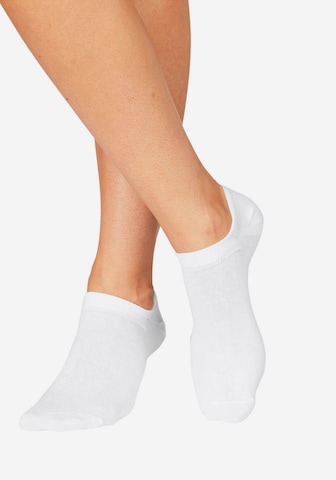 BENCH Ankle socks in White: front