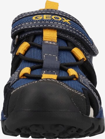 Chaussures ouvertes GEOX en bleu