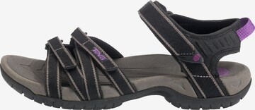 Sandales 'Tirra' TEVA en gris