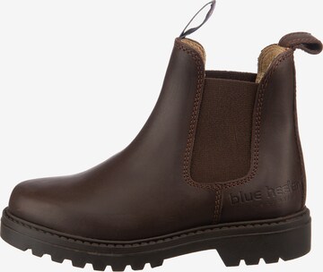 Blue Heeler Boots in Brown