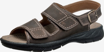 JOMOS Sandals 'Activa' in Brown: front