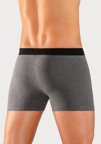 BRUNO BANANI Boxershorts in Grau