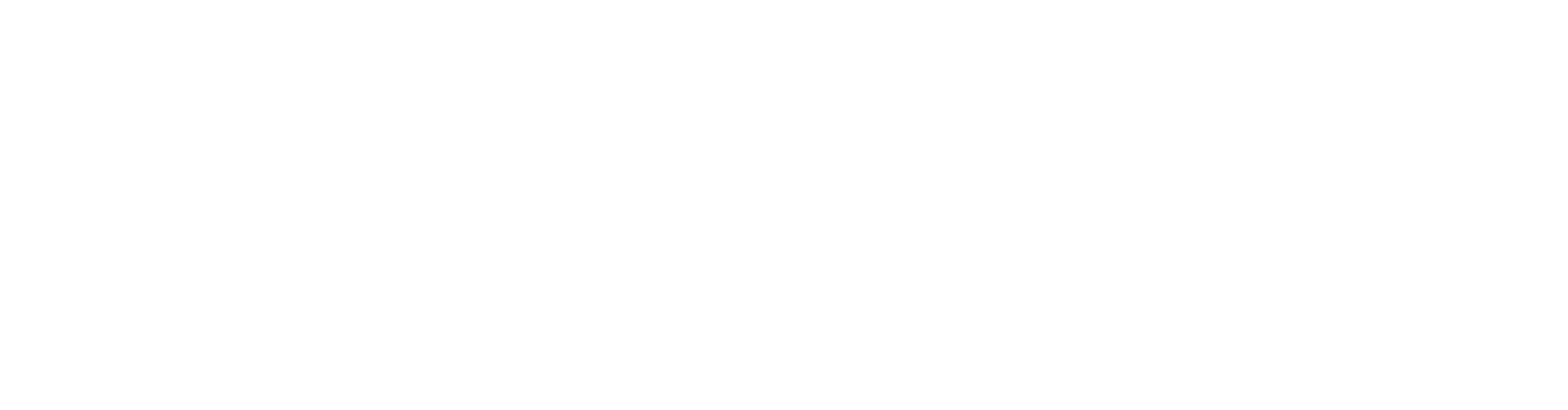 Racoon Outdoor Logo