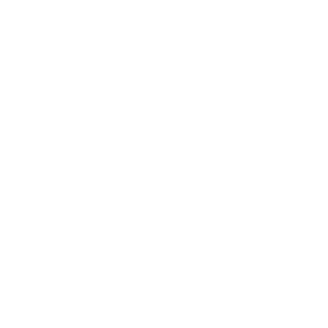 Flavia Valentini Logo