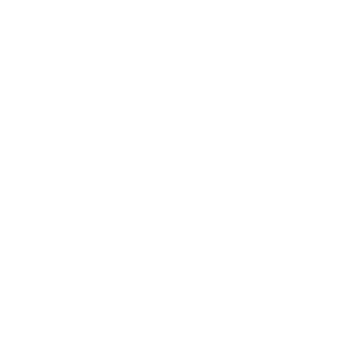 Shelby & Sons Logo