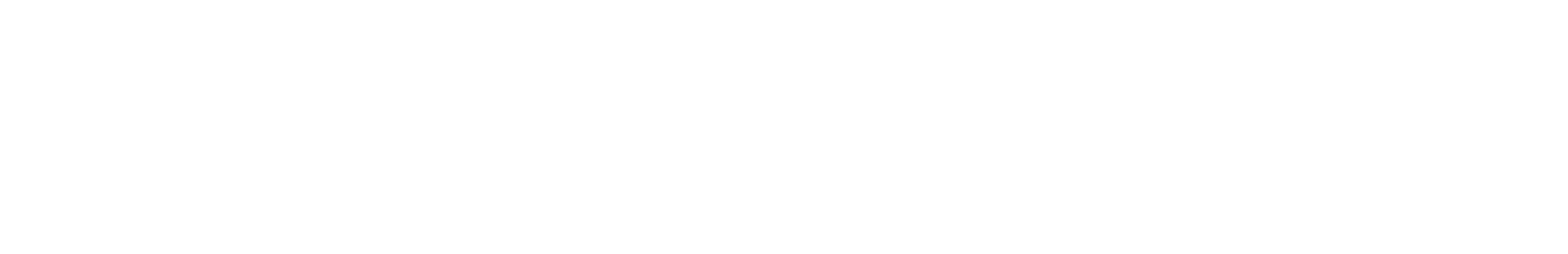 Soft Rebels Logo