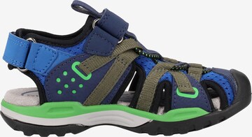 Chaussures ouvertes GEOX en bleu