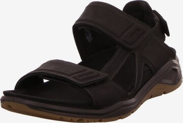 ECCO Hiking Sandals in Brown: front