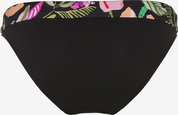 Pantaloncini per bikini di s.Oliver in nero