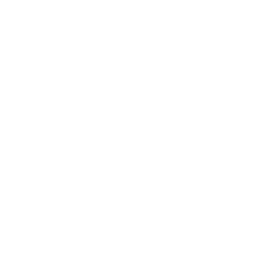 SPEIDEL Logo