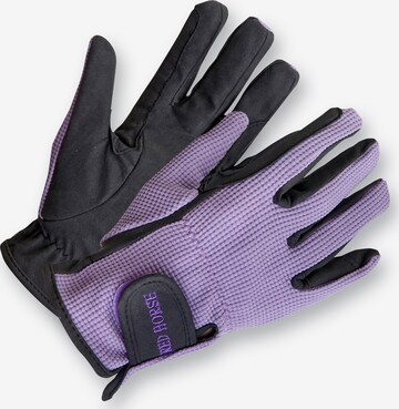 RED HORSE Athletic Gloves 'Amico' in Purple: front