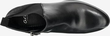 ARA Ankle Boots 'Padua-tron' in Schwarz