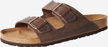 BIRKENSTOCK Mules 'Arizona' in Brown: front