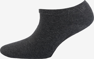 camano Socks in Grey