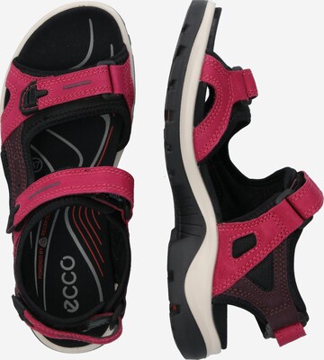 ECCO Trekkingsandaler 'Offroad' i pink