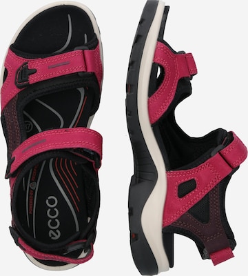 ECCO Hiking Sandals 'Offroad' in Pink