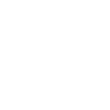 Blauer.USA Logo