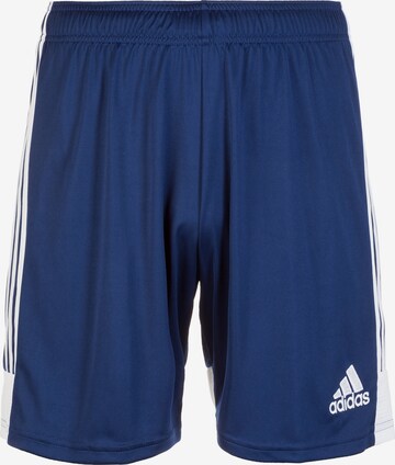 ADIDAS SPORTSWEAR Sportbroek 'Tastigo 19' in Blauw: voorkant