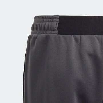 ADIDAS PERFORMANCE Regular Sporthose 'Tan' in Grau