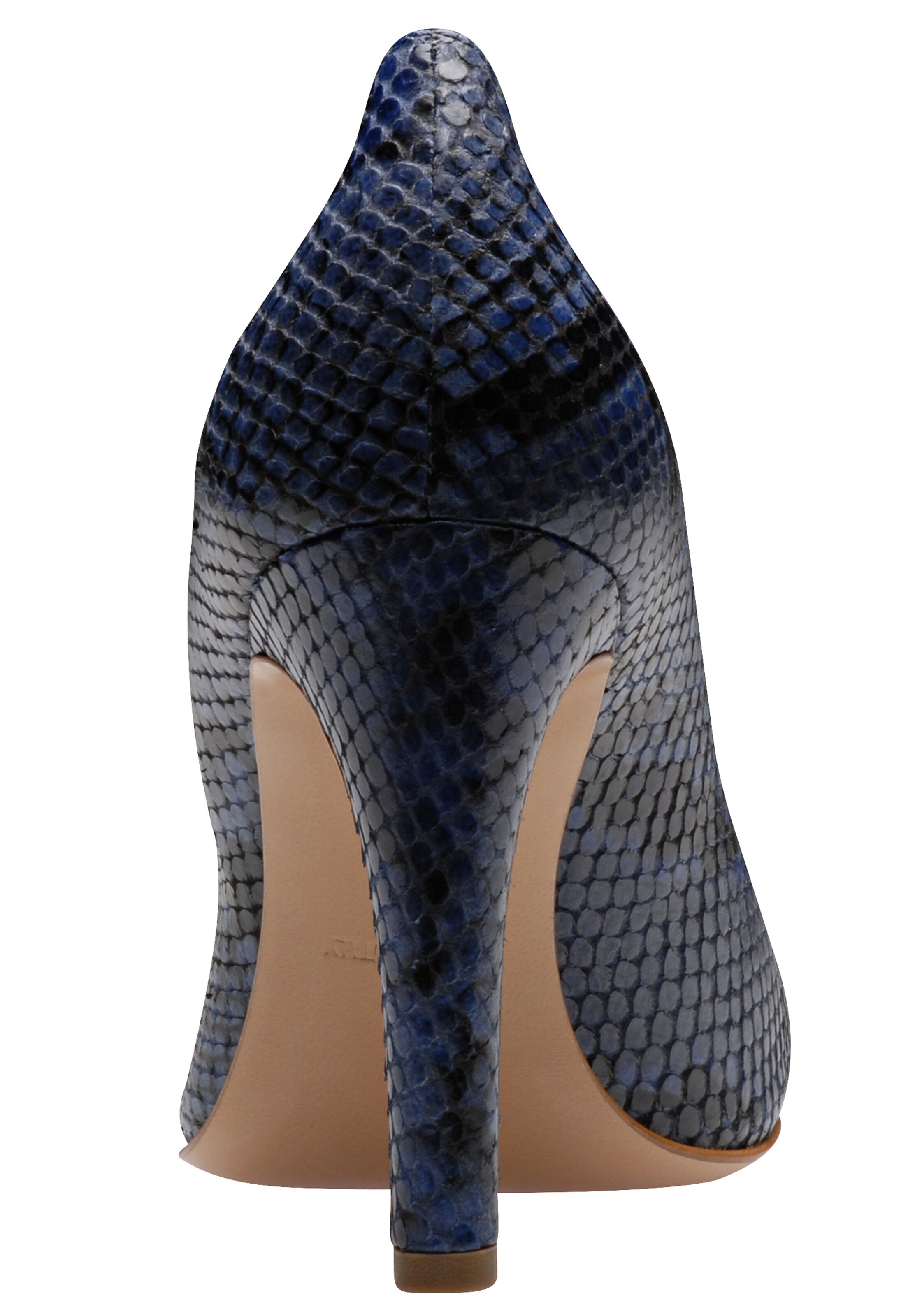 EVITA Pumps in Blauw