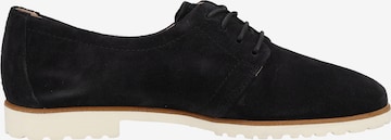 Paul Green Lace-Up Shoes in Blue