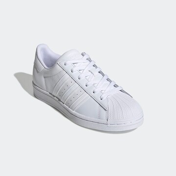 ADIDAS ORIGINALS - Sapatilhas baixas 'Superstar' em branco