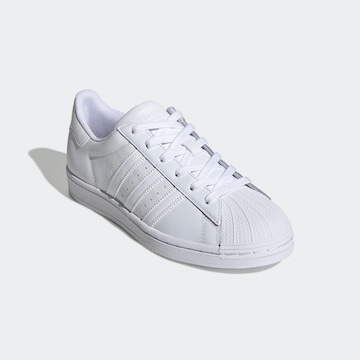 Sneaker bassa 'Superstar' di ADIDAS ORIGINALS in bianco