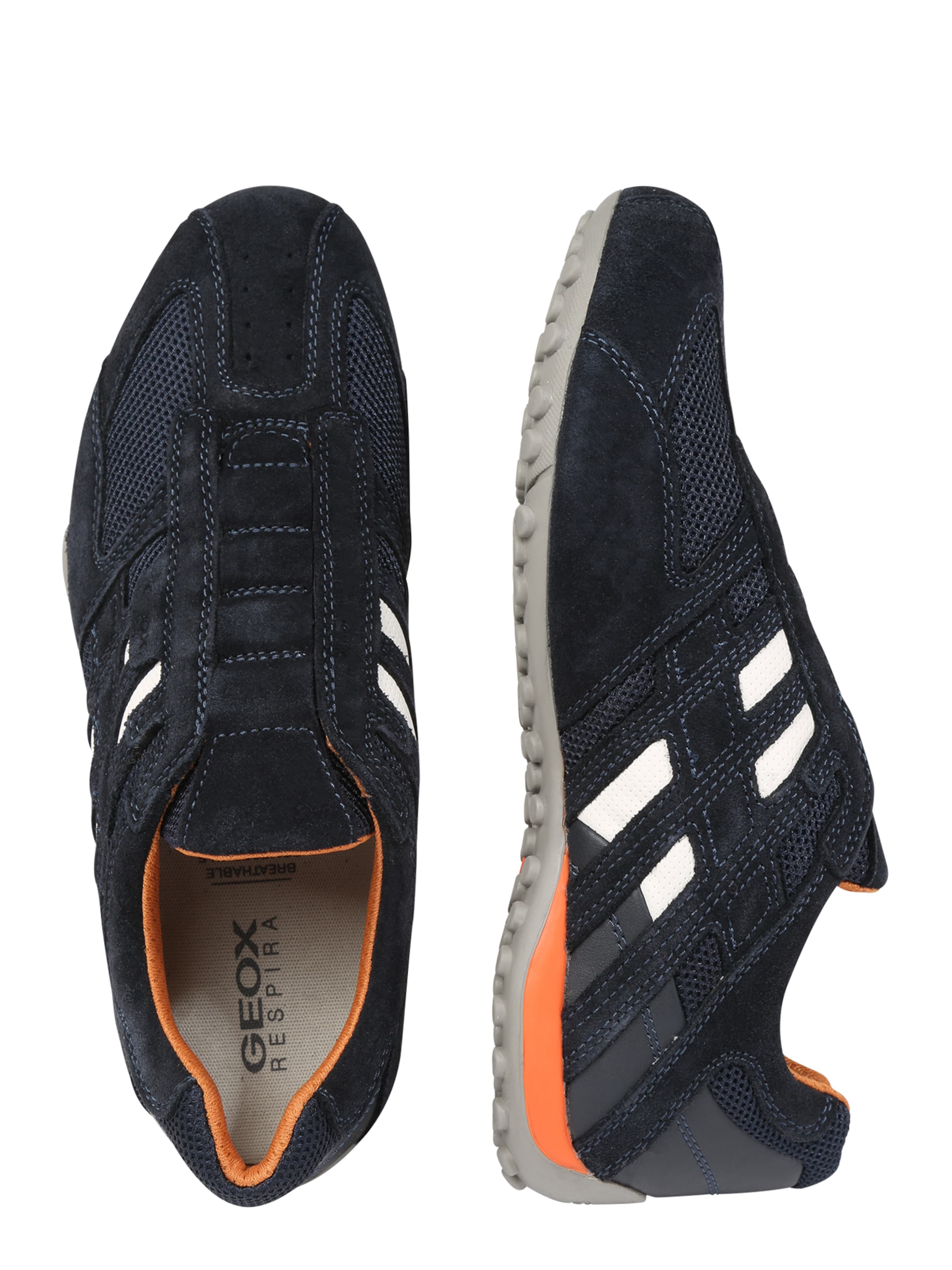 GEOX Sneakers laag 'Snake' in Blauw