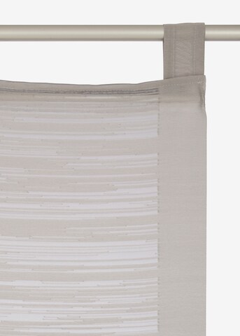 Neutex for you! Curtains & Drapes in Beige