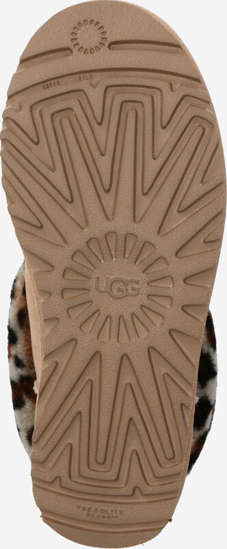 ugg noisette ugg noisette