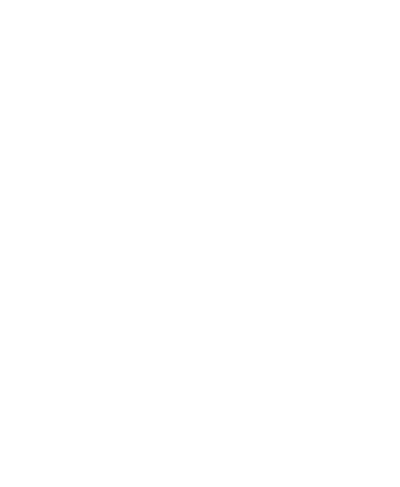 LA STRADA Logo