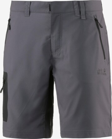JACK WOLFSKIN Regular Outdoor Pants 'Active Track' in Grey: front