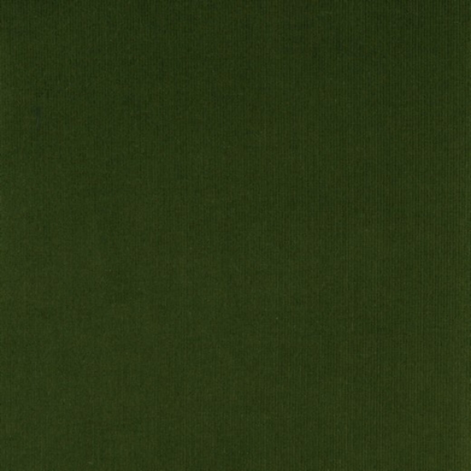 Essential Safari Vibe Style Timeless Neutrals