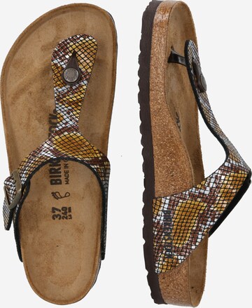 Infradito 'Gizeh Python' di BIRKENSTOCK in marrone