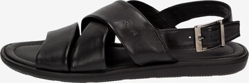 SIOUX Sandals 'Mirtas' in Black