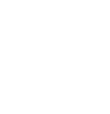 Henry Stevens Logo