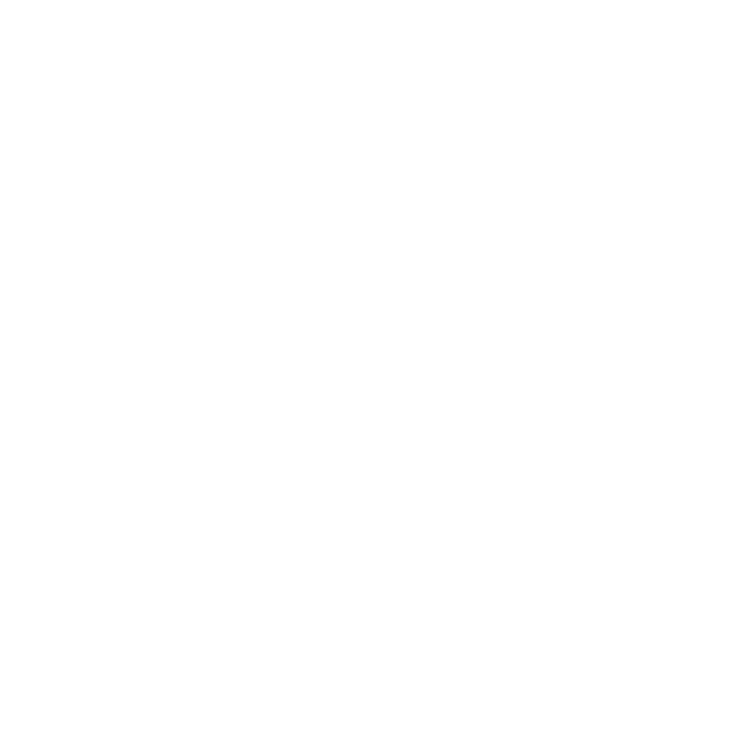 Ragwear Plus Logo