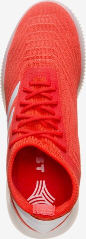 ADIDAS SPORTSWEAR Sneakers laag 'Predator 19.1 Trainers Street' in Rood