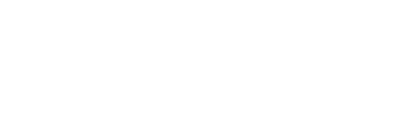 Erdem Logo