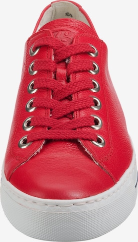 Paul Green Sneaker low i rød