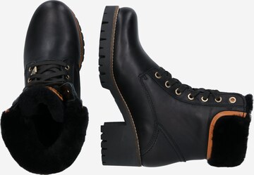 PANAMA JACK - Botines con cordones 'Phoebe' en negro