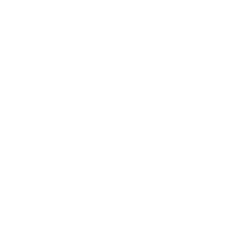 Sara Lindholm Logo