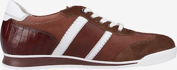 LLOYD Sneakers laag in Bruin