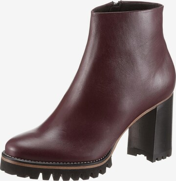 PETER KAISER Ankle Boots 'Gwen' in Purple: front