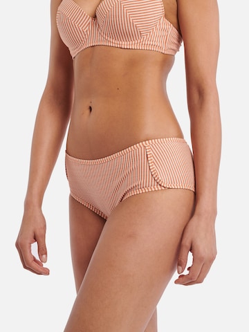 Shiwi Bikini nadrágok 'Ipanama' - narancs